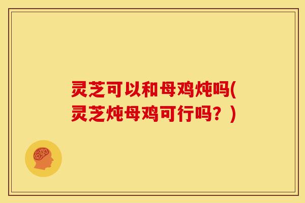 灵芝可以和母鸡炖吗(灵芝炖母鸡可行吗?)