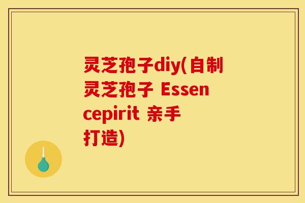 灵芝孢子diy(自制灵芝孢子 Essencepirit 亲手打造)
