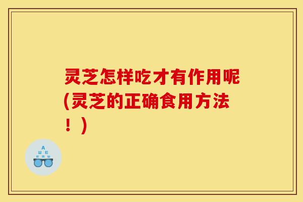 灵芝怎样吃才有作用呢(灵芝的正确食用方法!)