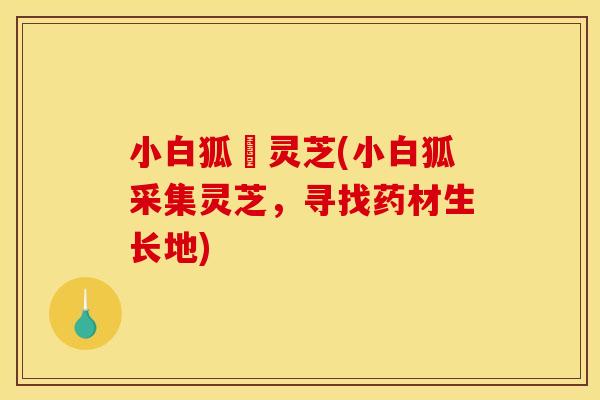 小白狐採灵芝(小白狐采集灵芝,寻找药材生长地)