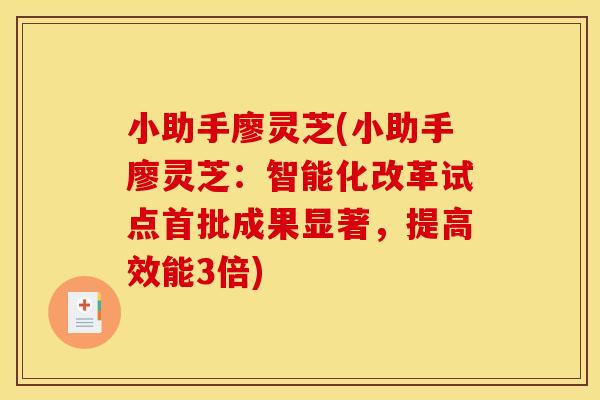 小助手廖灵芝(小助手廖灵芝:智能化改革试点首批成果显著,提高效能3倍)
