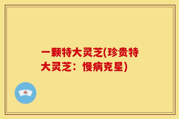 一颗特大灵芝(珍贵特大灵芝:慢病克星)