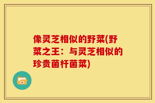 像灵芝相似的野菜(野菜之王:与灵芝相似的珍贵菌杆菌菜)