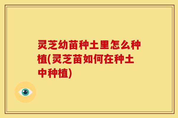 灵芝幼苗种土里怎么种植(灵芝苗如何在种土中种植)