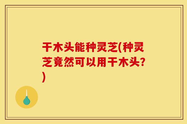 干木头能种灵芝(种灵芝竟然可以用干木头?)