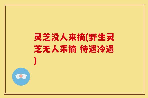 灵芝没人来摘(野生灵芝无人采摘 待遇冷遇)