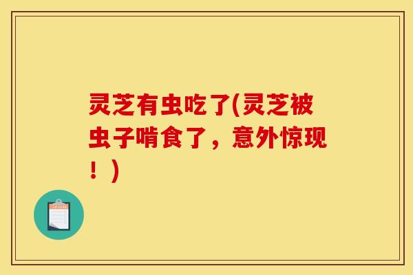 灵芝有虫吃了(灵芝被虫子啃食了,意外惊现!)