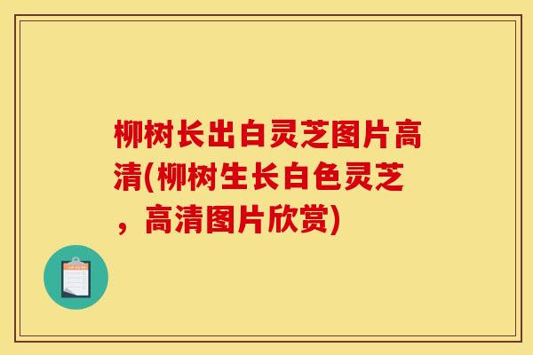柳树长出白灵芝图片高清(柳树生长白色灵芝,高清图片欣赏)