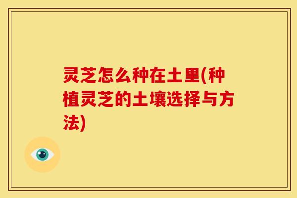 灵芝怎么种在土里(种植灵芝的土壤选择与方法)
