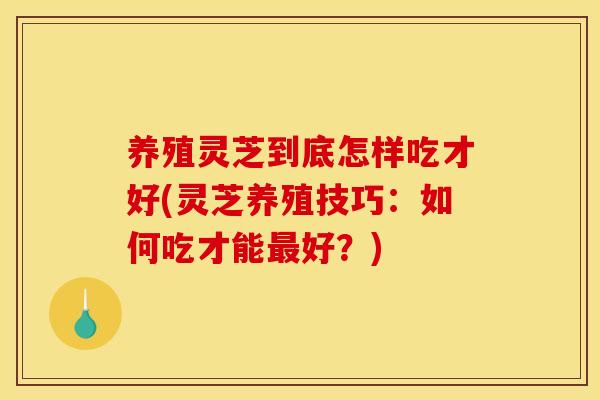 养殖灵芝到底怎样吃才好(灵芝养殖技巧:如何吃才能最好?)