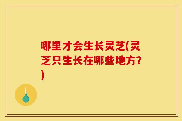 哪里才会生长灵芝(灵芝只生长在哪些地方？)
