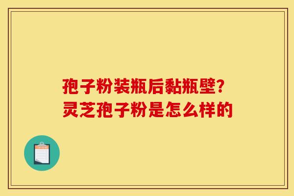 孢子粉装瓶后黏瓶壁?灵芝孢子粉是怎么样的