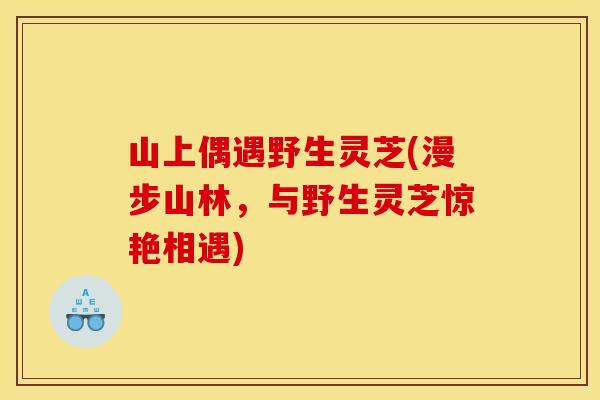 山上偶遇野生灵芝(漫步山林,与野生灵芝惊艳相遇)