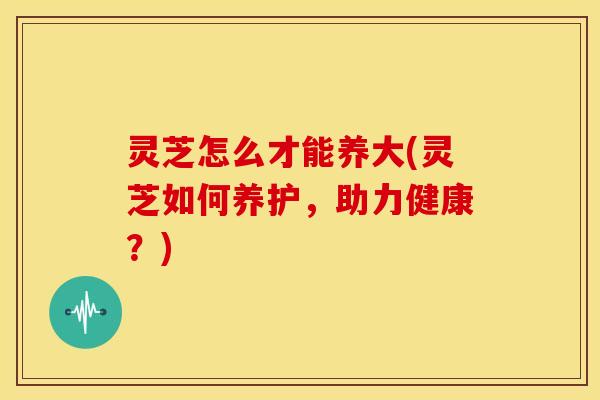 灵芝怎么才能养大(灵芝如何养护,助力健康?)