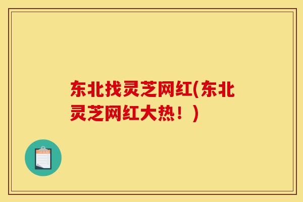 东北找灵芝网红(东北灵芝网红大热!)