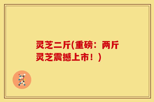 灵芝二斤(重磅:两斤灵芝震撼上市!)