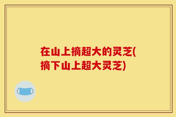 在山上摘超大的灵芝(摘下山上超大灵芝)