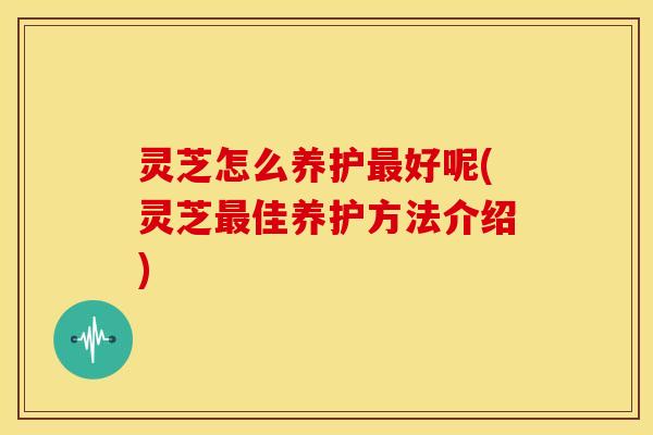 灵芝怎么养护最好呢(灵芝最佳养护方法介绍)