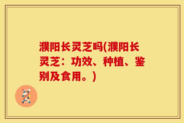 濮阳长灵芝吗(濮阳长灵芝：功效、种植、鉴别及食用。)