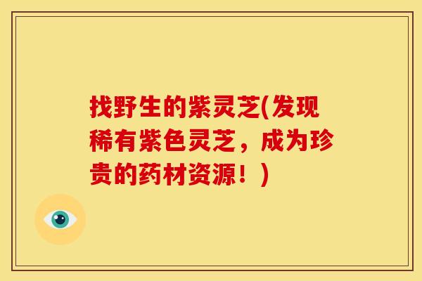找野生的紫灵芝(发现稀有紫色灵芝,成为珍贵的药材资源!)