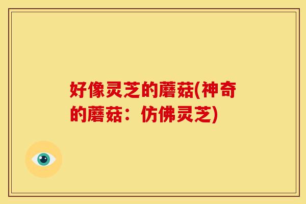 好像灵芝的蘑菇(神奇的蘑菇:仿佛灵芝)