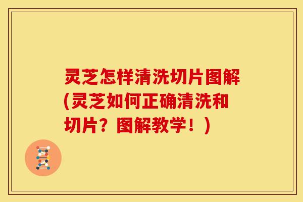 灵芝怎样清洗切片图解(灵芝如何正确清洗和切片?图解教学!)