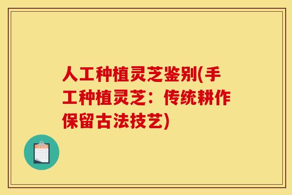 人工种植灵芝鉴别(手工种植灵芝：传统耕作保留古法技艺)