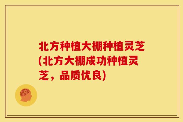 北方种植大棚种植灵芝(北方大棚成功种植灵芝,品质优良)