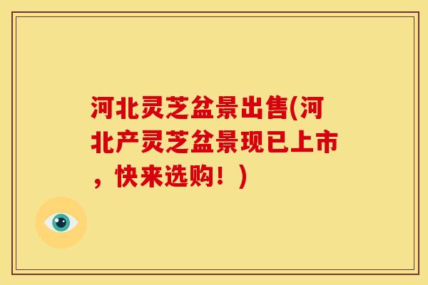 河北灵芝盆景出售(河北产灵芝盆景现已上市，快来选购！)