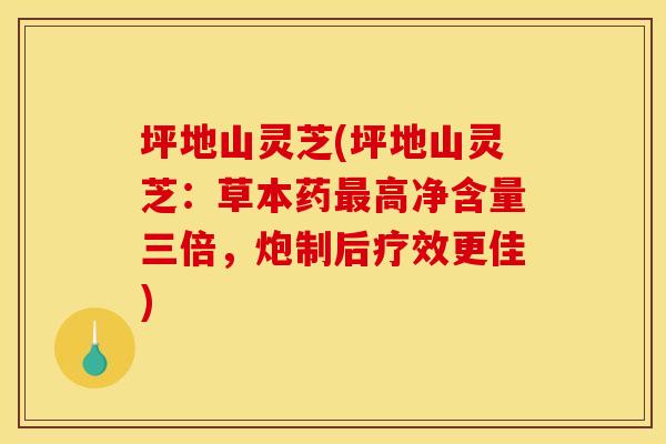坪地山灵芝(坪地山灵芝:草本药最高净含量三倍,炮制后疗效更佳)