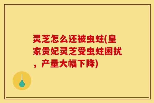 灵芝怎么还被虫蛀(皇家贵妃灵芝受虫蛀困扰,产量大幅下降)