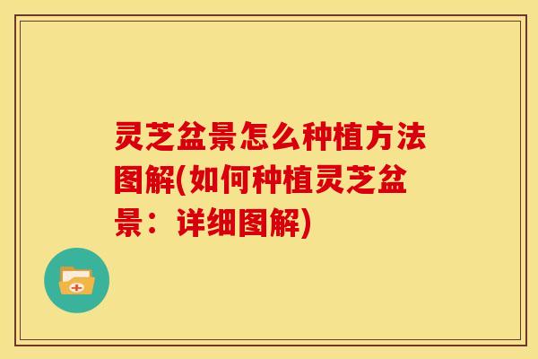 灵芝盆景怎么种植方法图解(如何种植灵芝盆景：详细图解)
