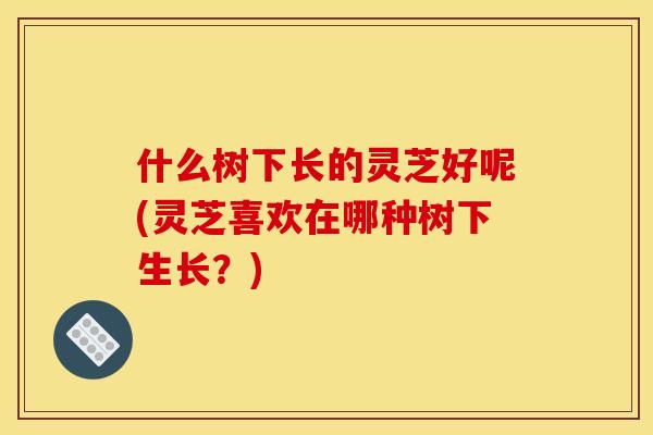 什么树下长的灵芝好呢(灵芝喜欢在哪种树下生长？)
