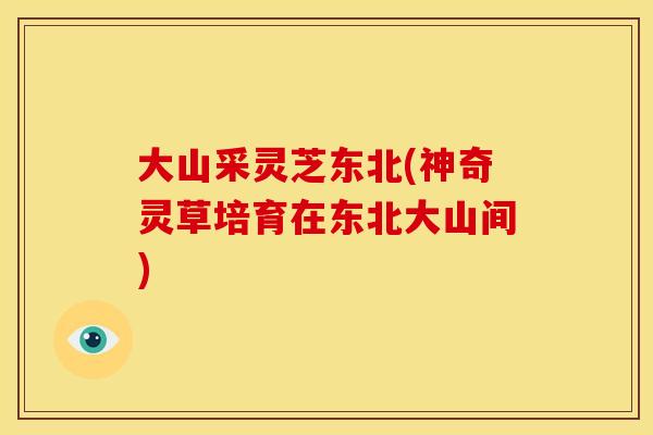 大山采灵芝东北(神奇灵草培育在东北大山间)