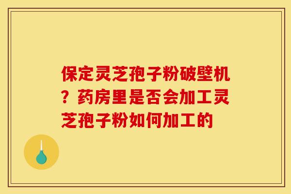 保定灵芝孢子粉破壁机?药房里是否会加工灵芝孢子粉如何加工的