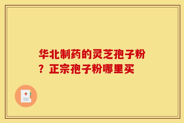 华北制药的灵芝孢子粉?正宗孢子粉哪里买