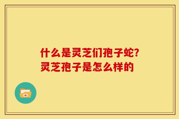 什么是灵芝们孢子蛇?灵芝孢子是怎么样的