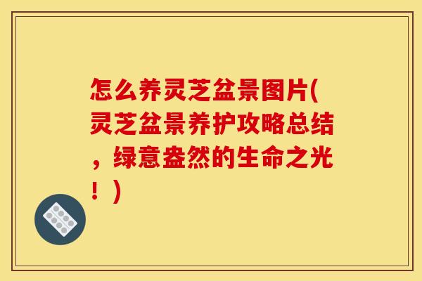 怎么养灵芝盆景图片(灵芝盆景养护攻略总结,绿意盎然的生命之光!)