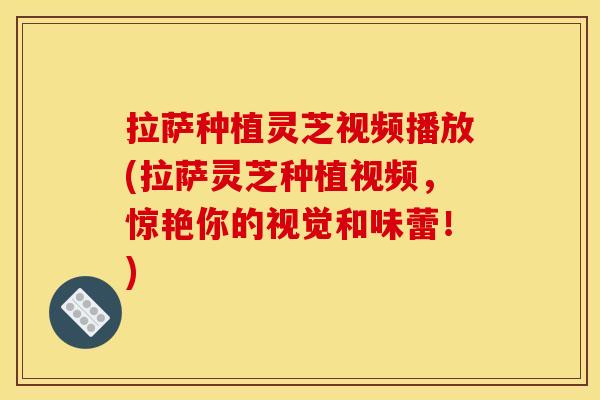 拉萨种植灵芝视频播放(拉萨灵芝种植视频,惊艳你的视觉和味蕾!)
