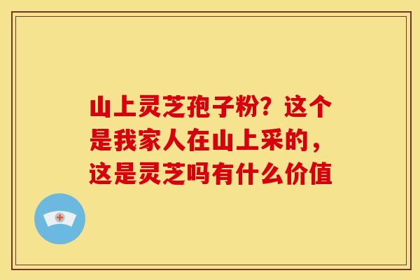 山上灵芝孢子粉?这个是我家人在山上采的,这是灵芝吗有什么价值