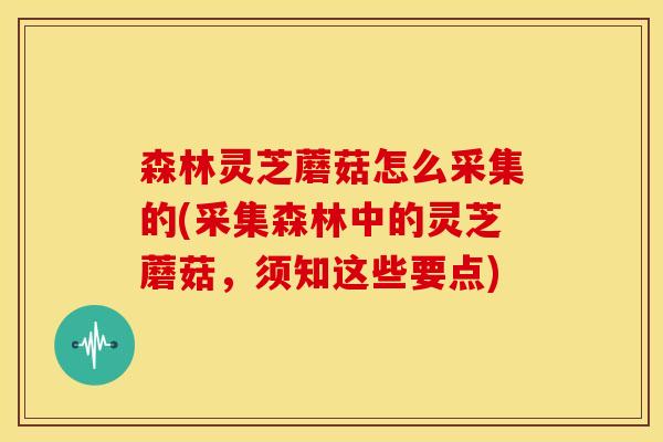 森林灵芝蘑菇怎么采集的(采集森林中的灵芝蘑菇，须知这些要点)