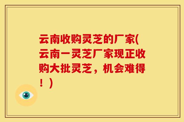 云南收购灵芝的厂家(云南一灵芝厂家现正收购大批灵芝，机会难得！)