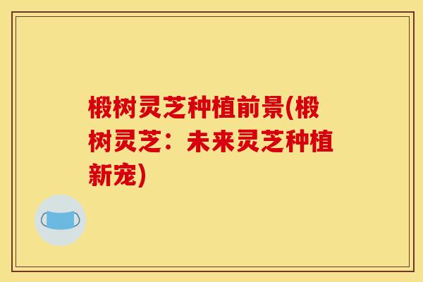 椴树灵芝种植前景(椴树灵芝：未来灵芝种植新宠)