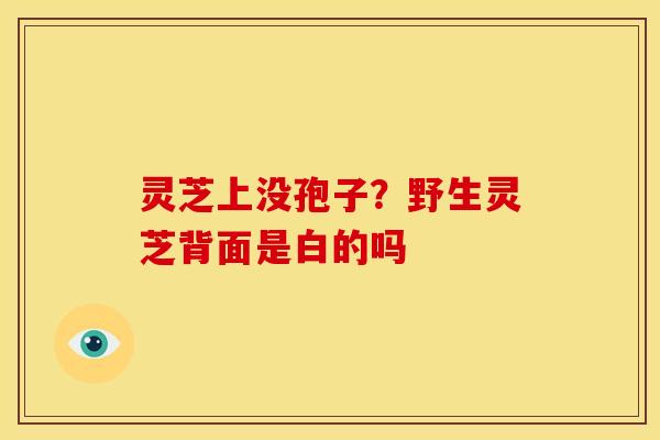 灵芝上没孢子？野生灵芝背面是白的吗