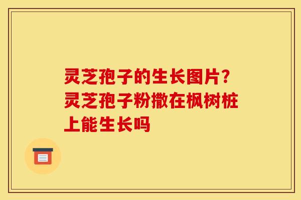灵芝孢子的生长图片？灵芝孢子粉撒在枫树桩上能生长吗