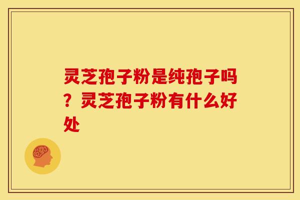 灵芝孢子粉是纯孢子吗？灵芝孢子粉有什么好处