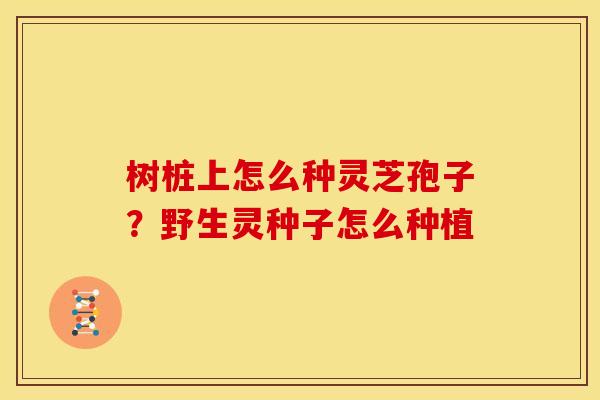 树桩上怎么种灵芝孢子?野生灵种子怎么种植