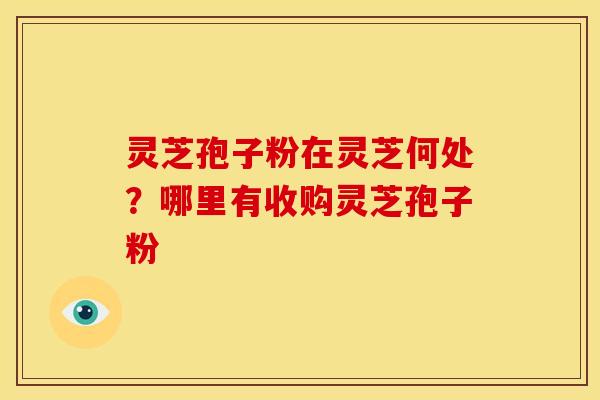 灵芝孢子粉在灵芝何处?哪里有收购灵芝孢子粉