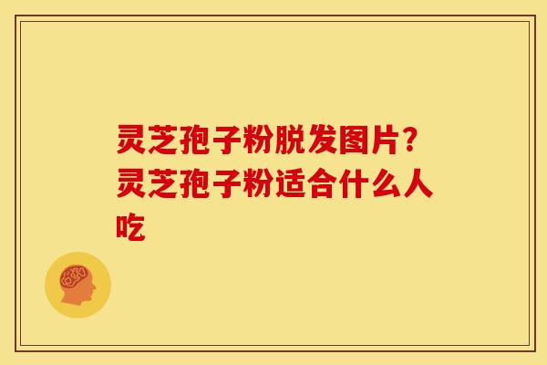 灵芝孢子粉脱发图片?灵芝孢子粉适合什么人吃