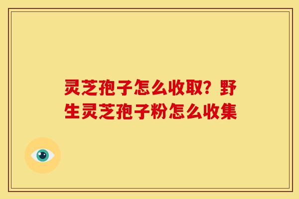 灵芝孢子怎么收取?野生灵芝孢子粉怎么收集